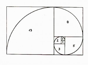 spirale-di-Fibonacci-300x222