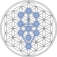 Tree-of-Life_Flower-of-Life
